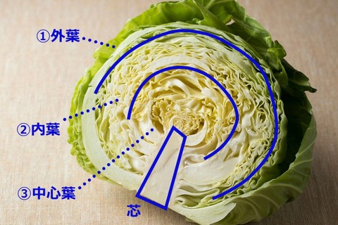 1612_54_cabbage_01-800x600-800x533