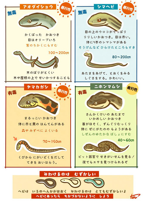 hoiko_170803hebi01