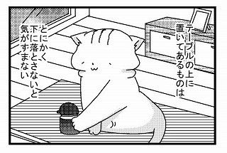iapp