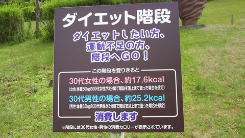 ダイエット階段　看板