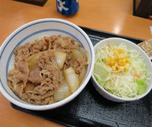 anipo